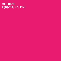 #E91B70 - Rose Color Image