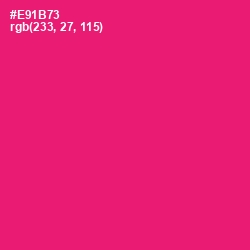 #E91B73 - Rose Color Image