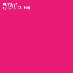#E91B74 - Rose Color Image