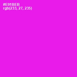 #E91BEB - Magenta / Fuchsia Color Image