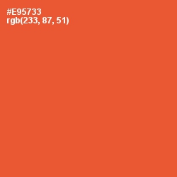 #E95733 - Flamingo Color Image