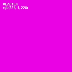 #EA01E4 - Magenta / Fuchsia Color Image