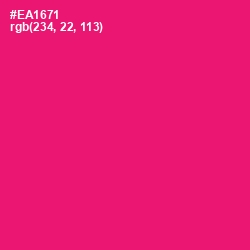 #EA1671 - Rose Color Image