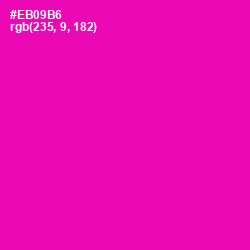 #EB09B6 - Hollywood Cerise Color Image