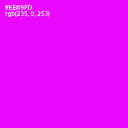 #EB09FD - Magenta / Fuchsia Color Image