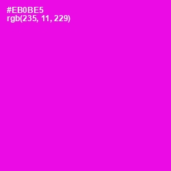 #EB0BE5 - Magenta / Fuchsia Color Image