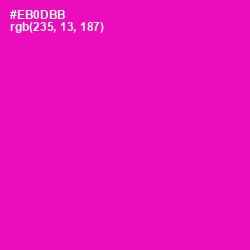 #EB0DBB - Hollywood Cerise Color Image