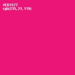 #EB1577 - Rose Color Image