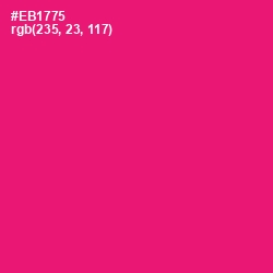 #EB1775 - Rose Color Image