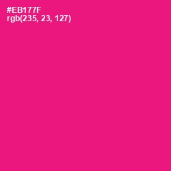 #EB177F - Rose Color Image