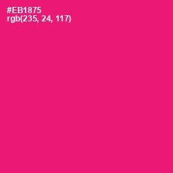 #EB1875 - Rose Color Image