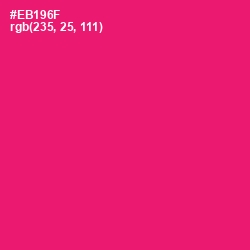 #EB196F - Rose Color Image