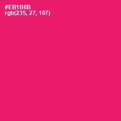 #EB1B6B - Rose Color Image