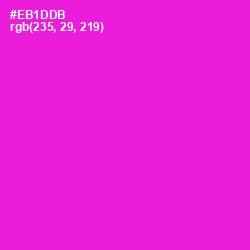 #EB1DDB - Shocking Pink Color Image