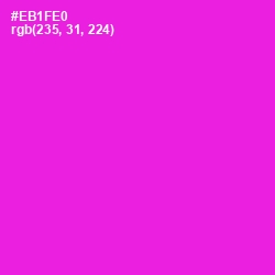 #EB1FE0 - Magenta / Fuchsia Color Image