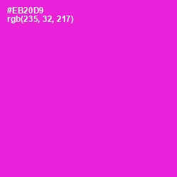 #EB20D9 - Razzle Dazzle Rose Color Image