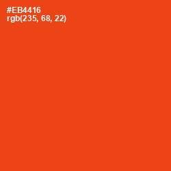 #EB4416 - Trinidad Color Image