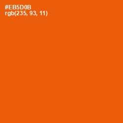 #EB5D0B - Trinidad Color Image