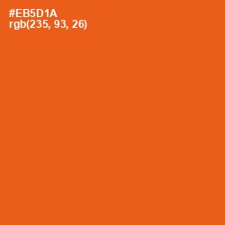 #EB5D1A - Trinidad Color Image