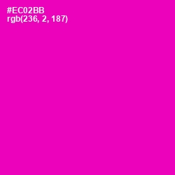 #EC02BB - Hollywood Cerise Color Image