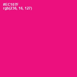 #EC107F - Rose Color Image