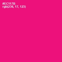 #EC117B - Rose Color Image
