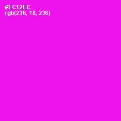 #EC12EC - Magenta / Fuchsia Color Image