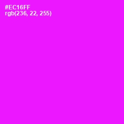 #EC16FF - Magenta / Fuchsia Color Image