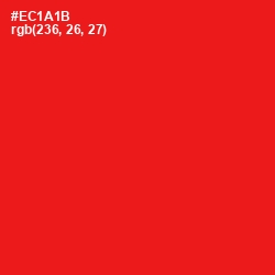 #EC1A1B - Red Color Image
