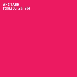 #EC1A60 - Rose Color Image