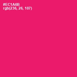 #EC1A6B - Rose Color Image