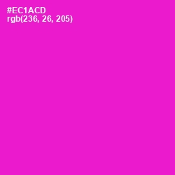 #EC1ACD - Shocking Pink Color Image