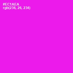 #EC1AEA - Magenta / Fuchsia Color Image