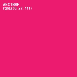 #EC1B6F - Rose Color Image