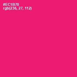 #EC1B70 - Rose Color Image