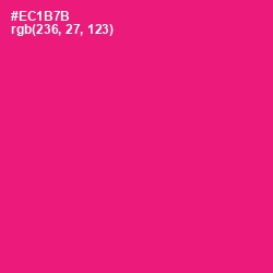 #EC1B7B - Rose Color Image