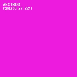 #EC1BDD - Shocking Pink Color Image