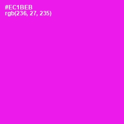 #EC1BEB - Magenta / Fuchsia Color Image