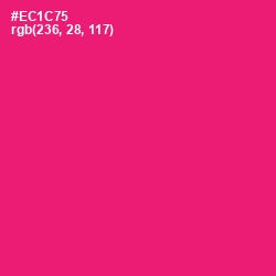 #EC1C75 - Rose Color Image