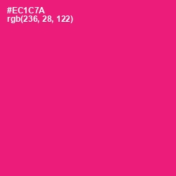 #EC1C7A - Rose Color Image