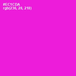 #EC1CDA - Shocking Pink Color Image