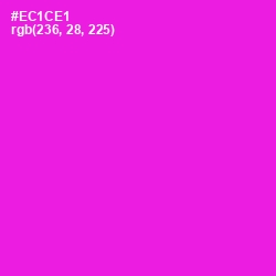#EC1CE1 - Magenta / Fuchsia Color Image