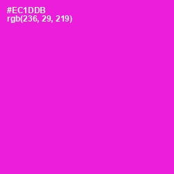 #EC1DDB - Shocking Pink Color Image