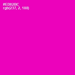 #ED02BC - Hollywood Cerise Color Image