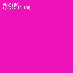 #ED12BA - Hollywood Cerise Color Image