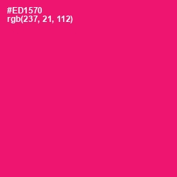 #ED1570 - Rose Color Image