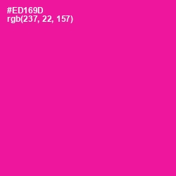 #ED169D - Hollywood Cerise Color Image