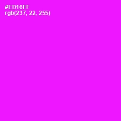 #ED16FF - Magenta / Fuchsia Color Image