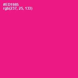 #ED1985 - Cerise Color Image
