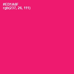 #ED1A6F - Rose Color Image